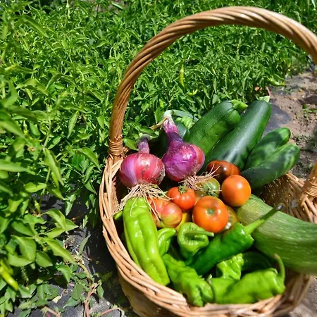 Rural Valles Del Cid Country house *