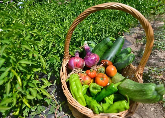 Rural Valles Del Cid Landhaus *